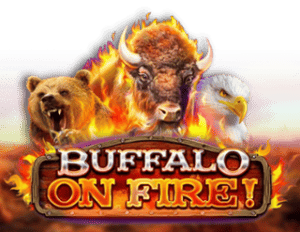 Buffalo on Fire!