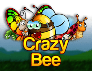 Crazy Bee