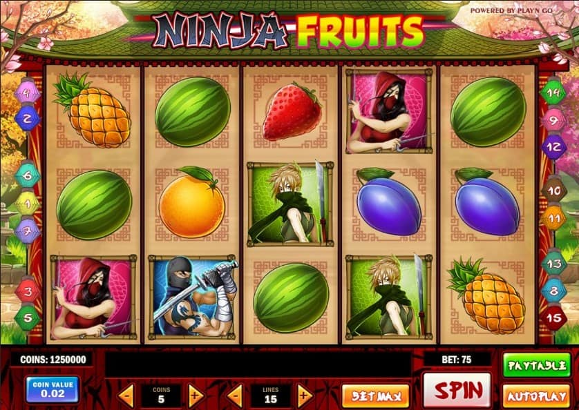 Ingyenes játék Ninja Fruits