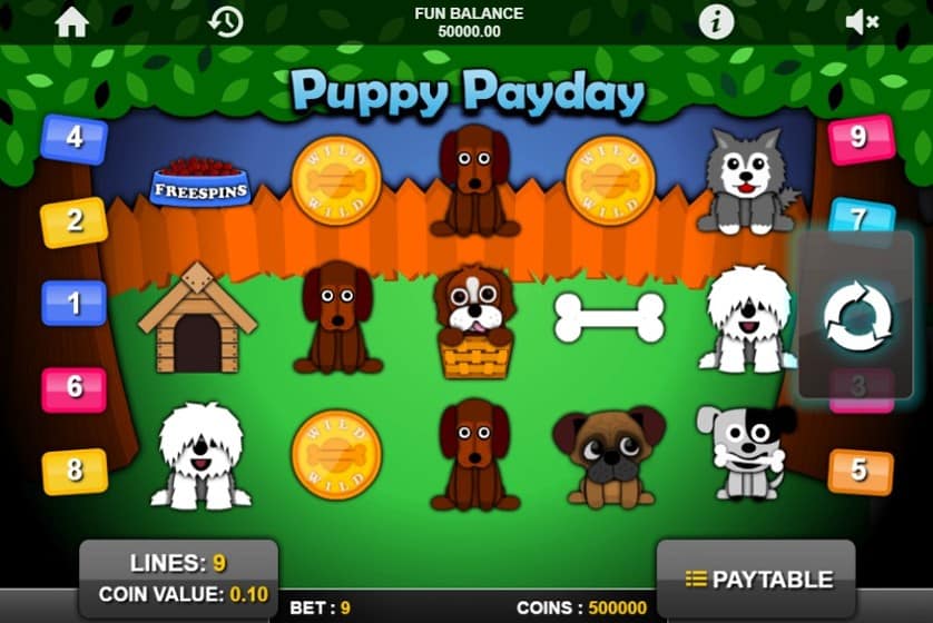 Ingyenes játék Puppy Payday