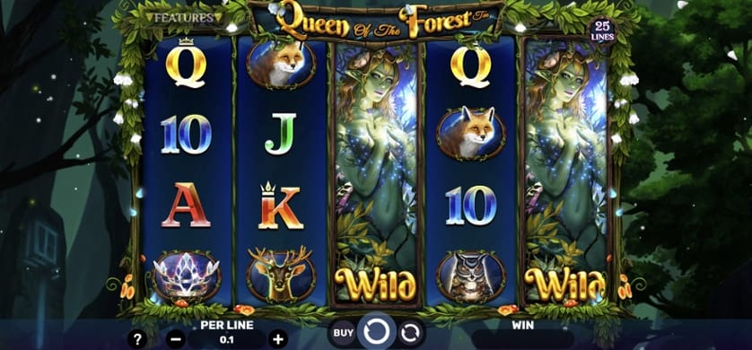 Ingyenes játék Queen of the Forest