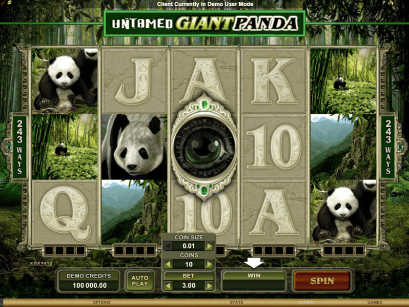 Ingyenes játék Untamed Giant Panda