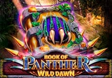 Book of Panther – Wild Dawn