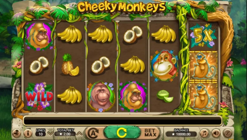 Ingyenes játék Cheeky Monkeys
