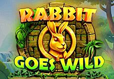Rabbit Goes Wild