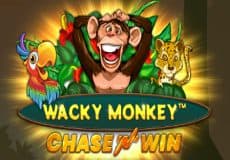 Wacky Monkey Chase ‘N’ Win